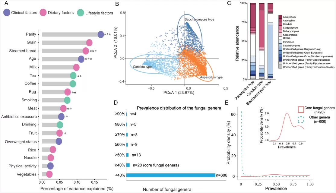 Figure 2. Profiling of the gut mycobiome composition and enterotypes among pregnant women.
